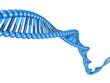 DNA