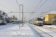 Snow train