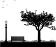 Spring in park, first spring flower -snowdrop silhouette