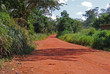 Terre d'Afrique, Côte d'Ivoire