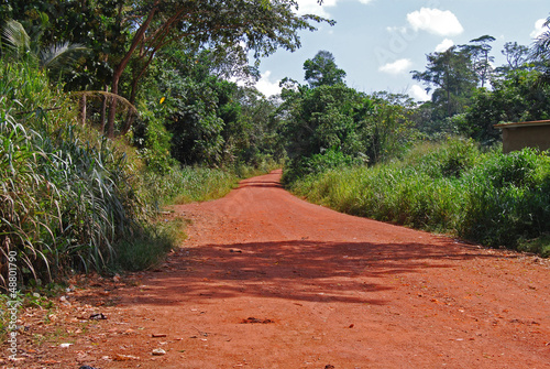Photo: Terre d'Afrique, Côte d'Ivoire Terre d'Afrique, Côte d'Ivoire