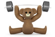 Body building Teddy	