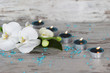 Foto: Orchidee mit Teelichtern Orchidee mit Teelichtern