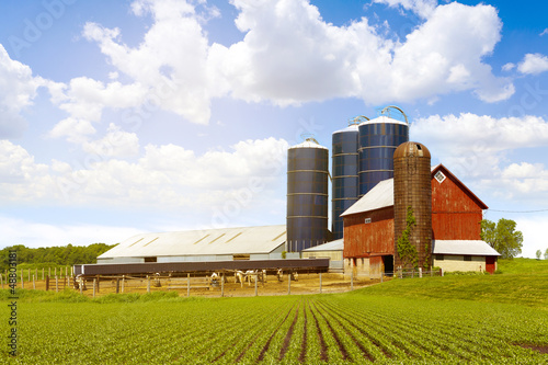 Photo: Red Dairy Farm With Sunny Sky Red Dairy Farm With Sunny Sky
