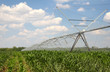Irrigation on a Corn Field