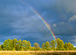 Foto: Rainbow Rainbow