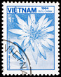 Postage stamp Vietnam 1984 Lotus, Nymphaea Ampla, Flower