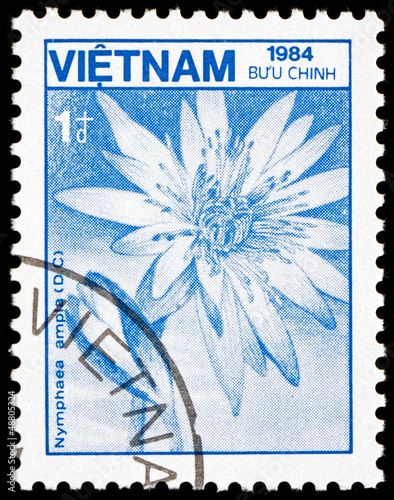 Photo: Postage stamp Vietnam 1984 Lotus, Nymphaea Ampla, Flower Postage stamp Vietnam 1984 Lotus, Nymphaea Ampla, Flower