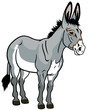 donkey on white