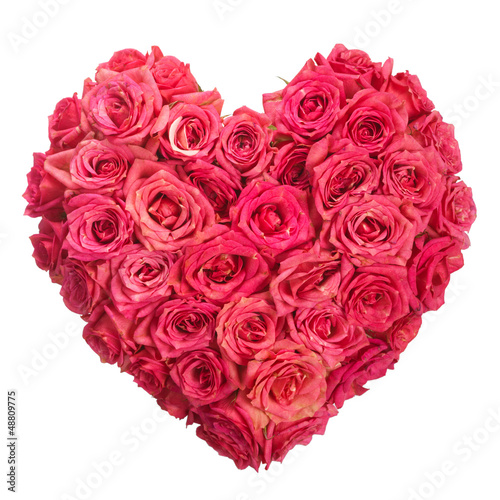 Photo: Rose Flowers Heart Over White. Valentine. Love Rose Flowers Heart Over White. Valentine. Love