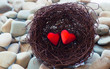 Hearts in a Nest