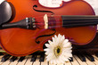 Violin, Piano, and a White Flower