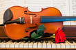A Night for Romantic Music