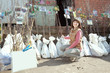 woman chooses trees sprouts