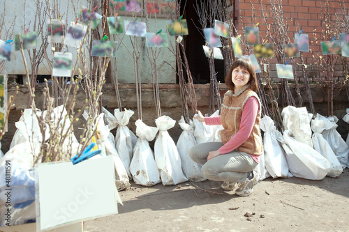 Photo: woman chooses trees sprouts woman chooses trees sprouts