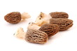 Morilles
