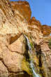Oasis Tamerza - Tunisia, Africa