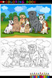 purebred dogs cartoon for coloring book
