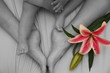 orquideas