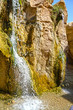 Oasis Tamerza - Tunisia, Africa
