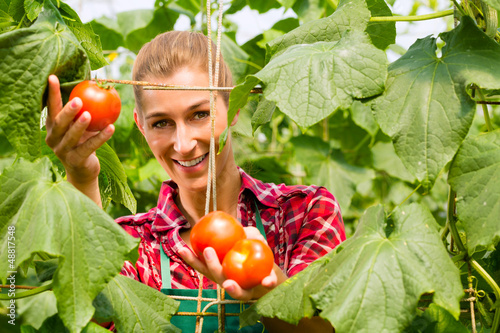 Photo: Female gardener in market garden or nursery Female gardener in market garden or nursery