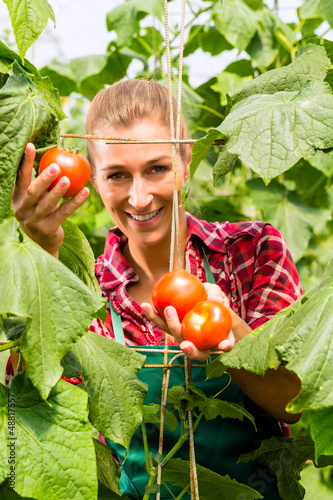 Photo: Female gardener in market garden or nursery Female gardener in market garden or nursery