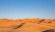 Camel Caravan