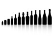 Bier / Wein Flaschen Sortiment