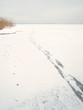 Fußspuren auf dem zugefrorenen Chiemsee 12