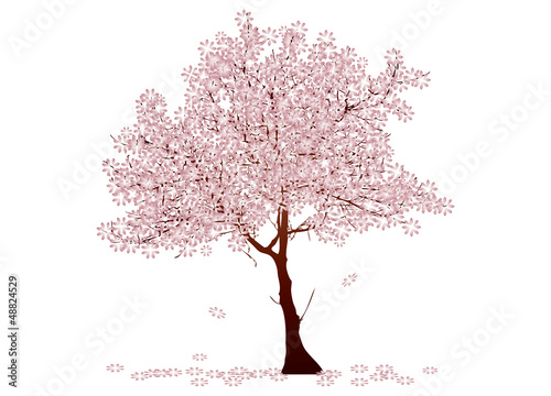 Vector: Kirschbaum in der Blüte Kirschbaum in der Blüte