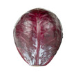 Rotkohl