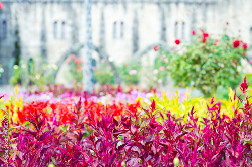 Photo: garden garden