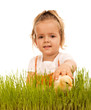 Little girl catching fluffy chicken in the grass - isolated