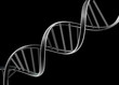 DNA strand isolated on black background