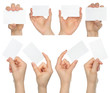 Hands hold business cards collage on white background .