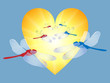 Dragonflies