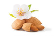 Almond with flower