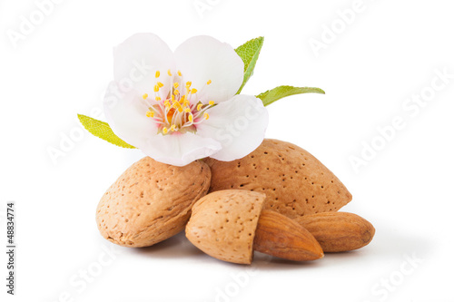 Photo: Almond with flower Almond with flower