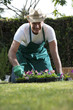 Gardener working in garden
