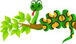 Snake cartoon
