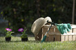 Still life of gardening objects