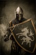 Medieval knight with sword and shield against stone wall