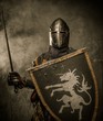 Medieval knight with sword and shield against stone wall