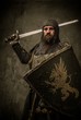 Medieval knight with sword and shield against stone wall