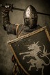 Medieval knight with sword and shield against stone wall