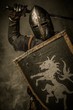 Medieval knight with sword and shield against stone wall