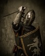 Medieval knight with sword and shield against stone wall