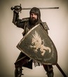 Medieval knight with sword and shield