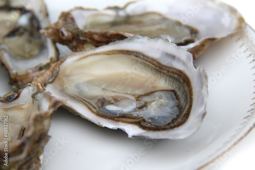 Photo: Huitres Huitres