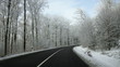 Video: Timelapse of winter road through the forest Timelapse of winter road through the forest